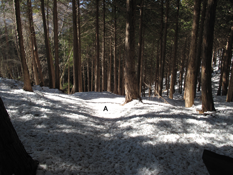 20180126hike (104)